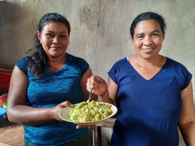 Fortalecer la seguridad alimentaria de 20 familias vulnerables a los efectos del cambio climático en la comunidad La Carbonera, Somoto, Nicaragua.