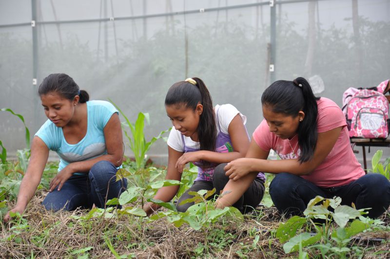 Educación Alternativa Rural como Estrategia para la reducción de la Pobreza en Comunidades Rurales de Totogalpa, Nicaragua
